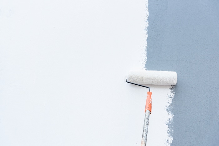 Building Green with Milk-Based Paint