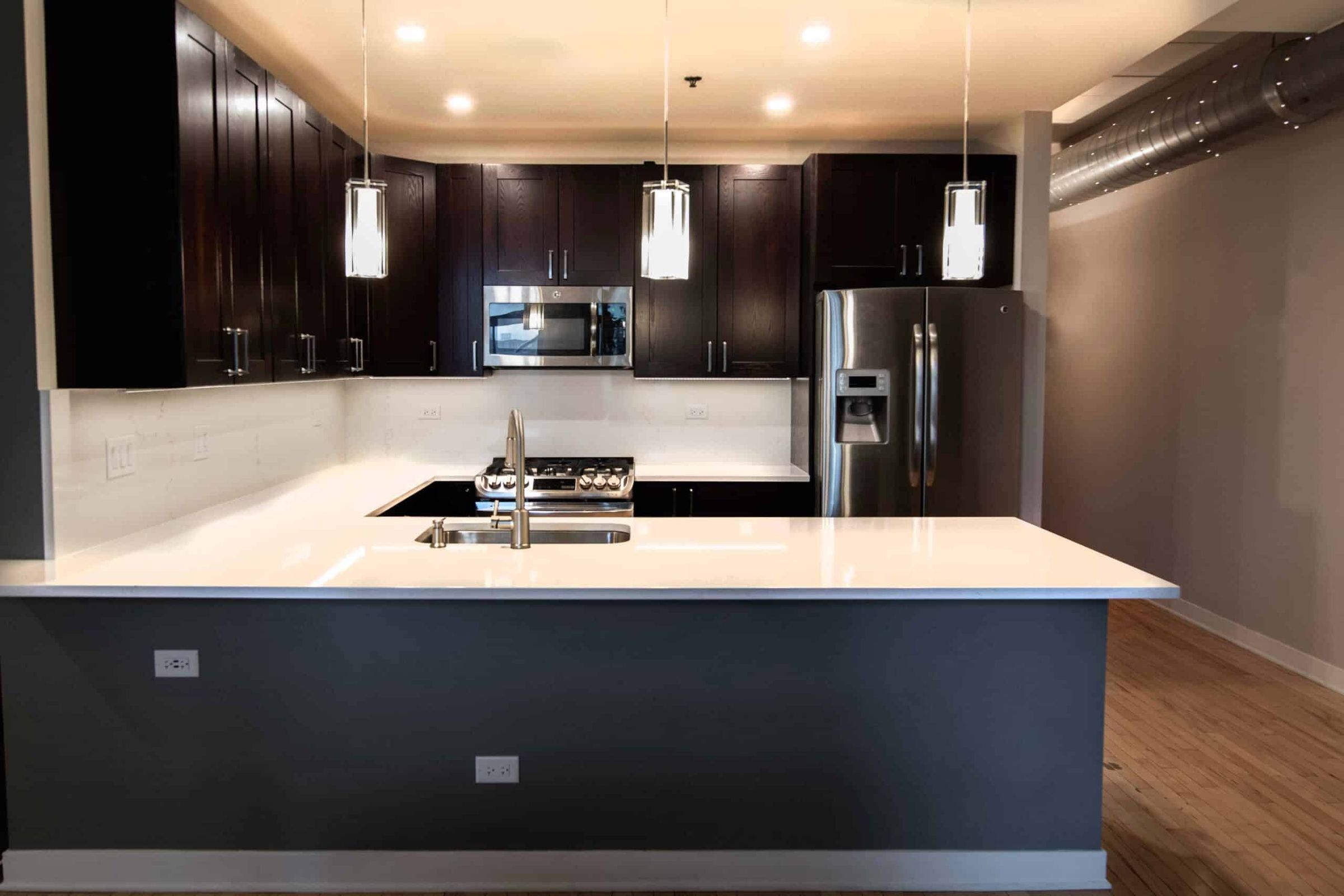 Kitchen Remodel West Loop, photo 1