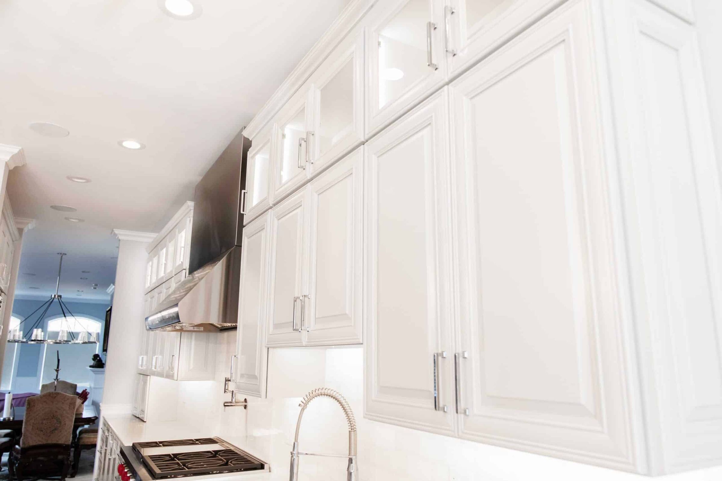 Wicker Park Kitchen Remodel, photo 3