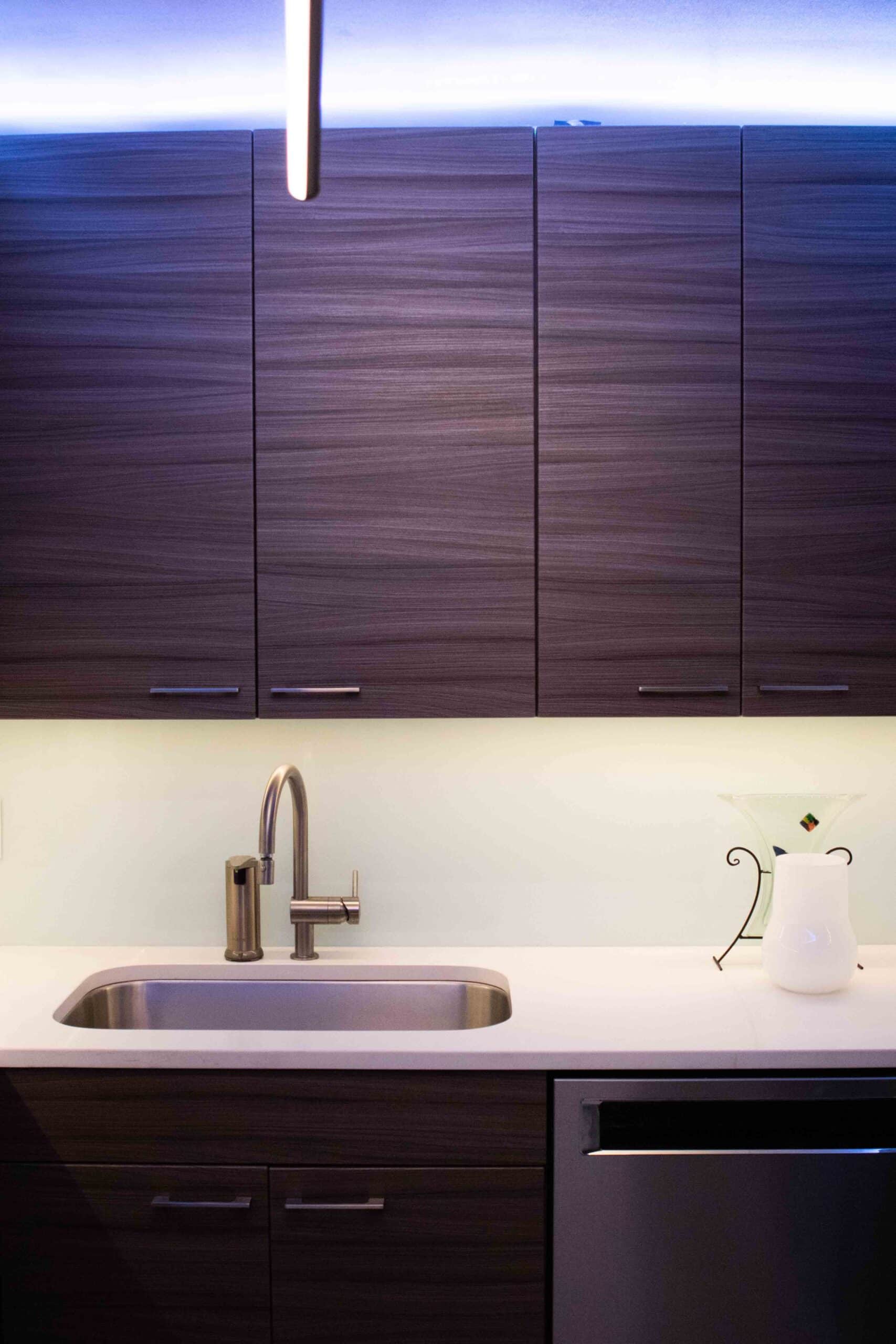 Edgewater Condo Remodel, photo 9