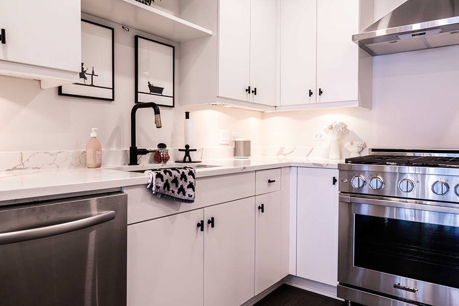 Girls Just Wanna Have Fun in Streeterville High Rise, photo 1