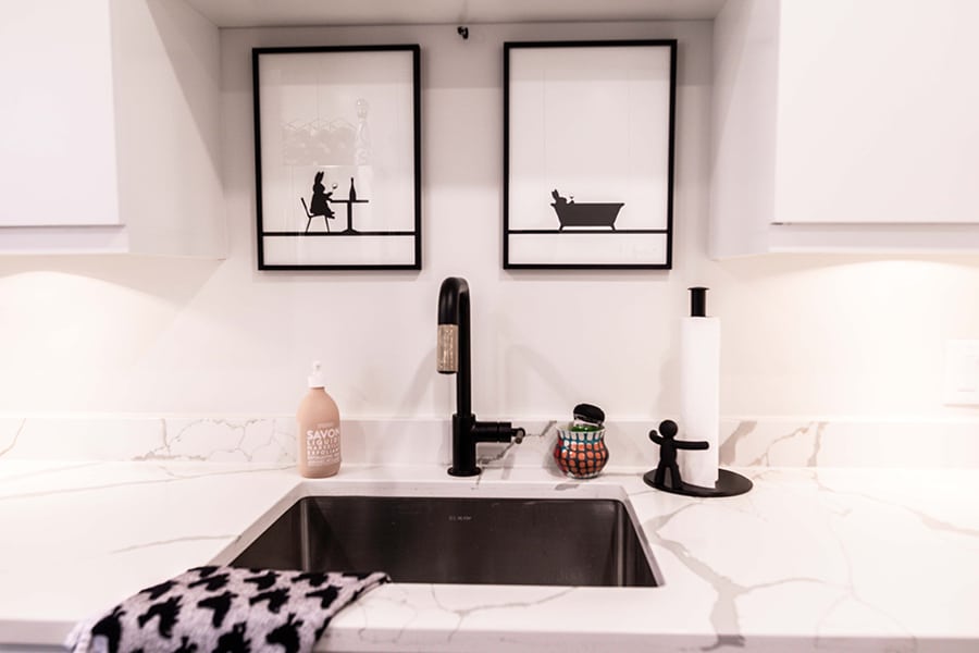 Girls Just Wanna Have Fun in Streeterville High Rise, photo 2