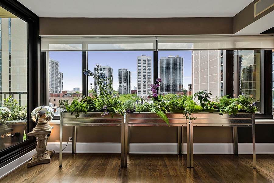 Dinner for Two in Gold Coast High Rise, photo 4