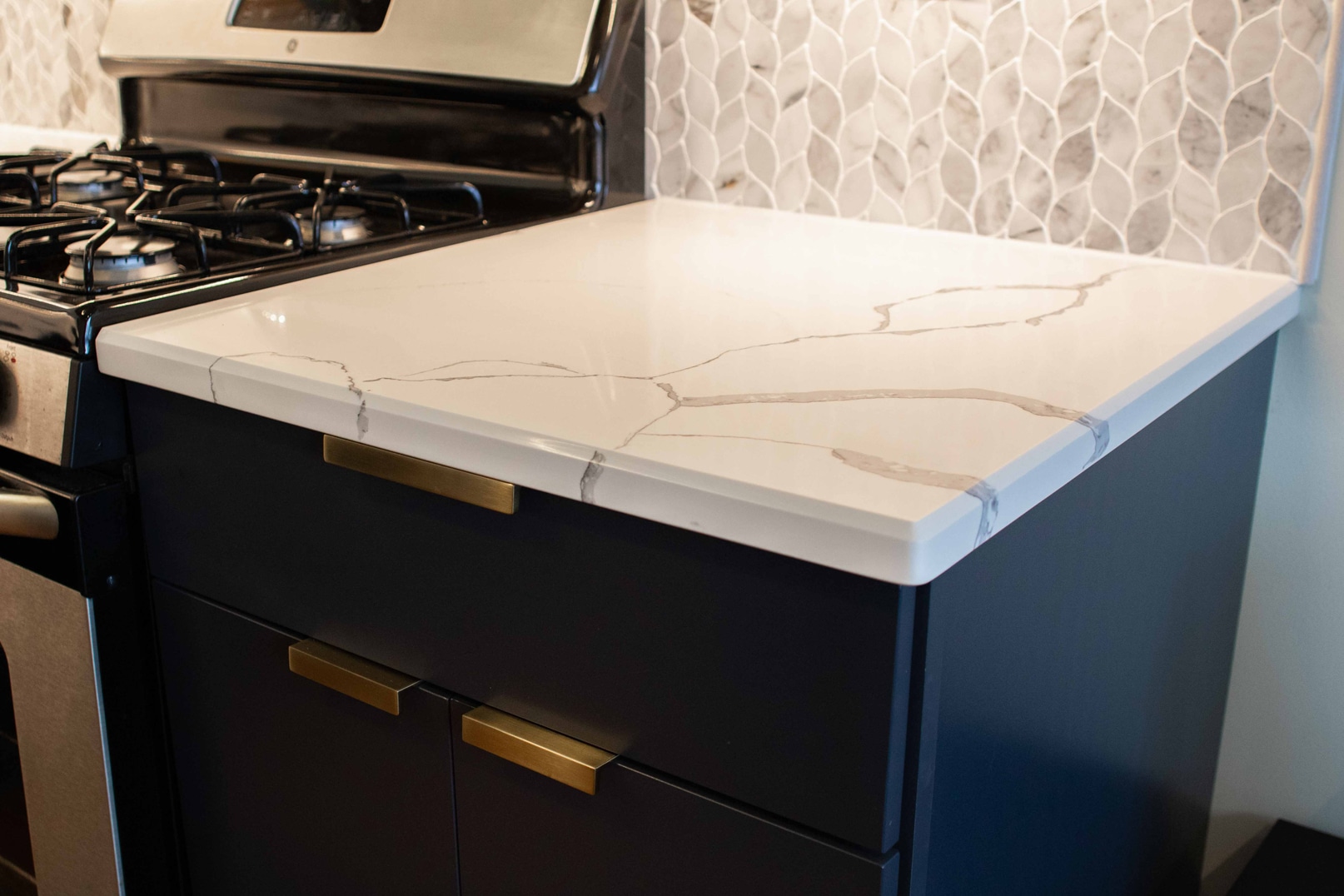 South Loop Kitchen Remodel, photo 6