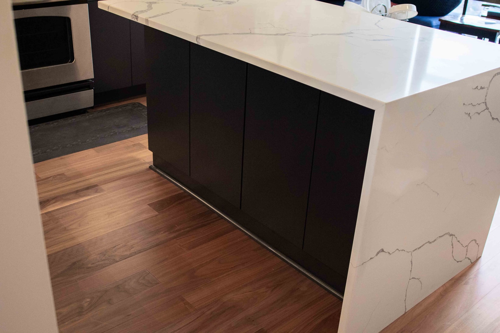 South Loop Kitchen Remodel, photo 9