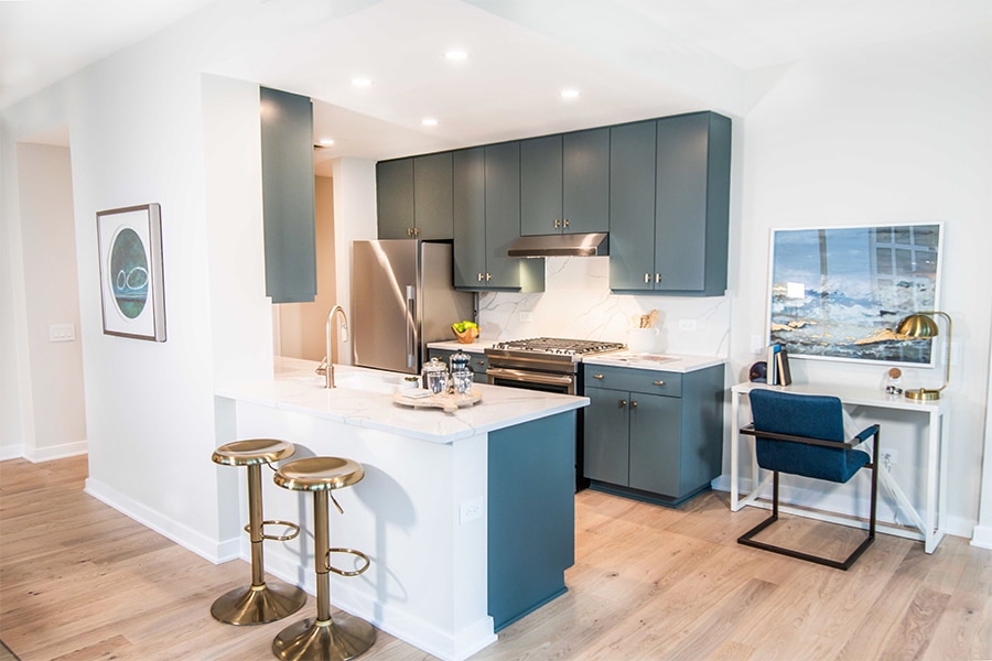 City Views in Streeterville High Rise, photo 9