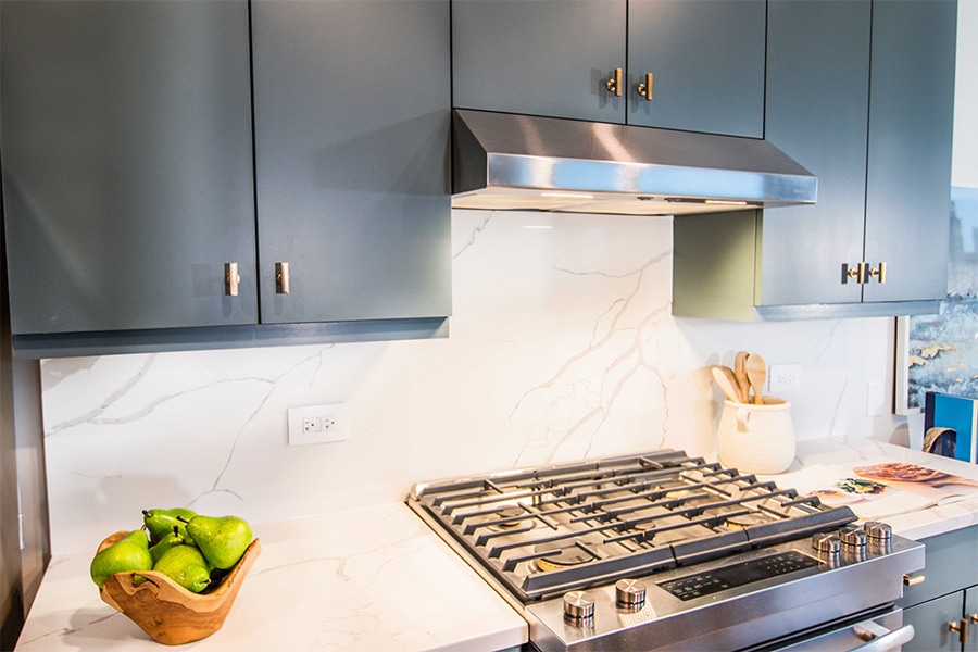 City Views in Streeterville High Rise, photo 10