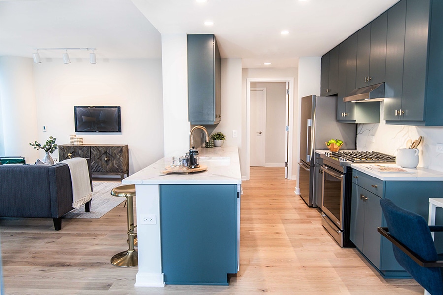 City Views in Streeterville High Rise, photo 12