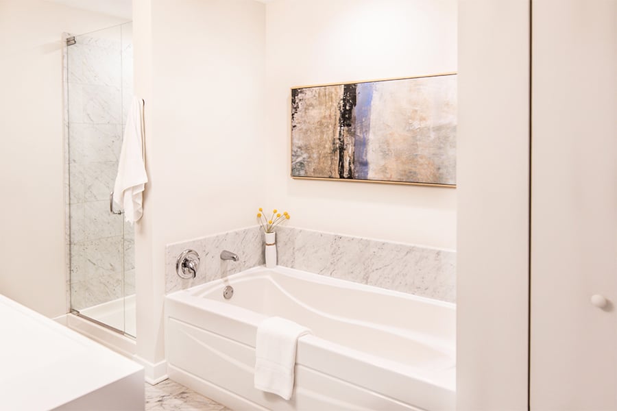 City Views in Streeterville High Rise, photo 14