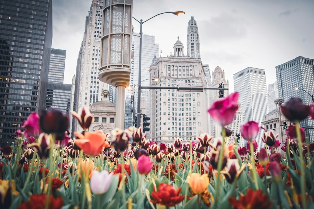 2025 Spring Cleaning Tips for Your Chicago Home