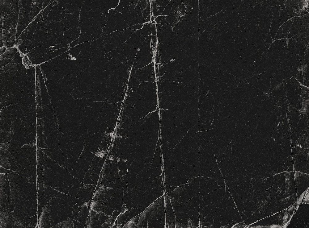 Bookmatched Marble Showers Elevate Chicago Luxury Homes