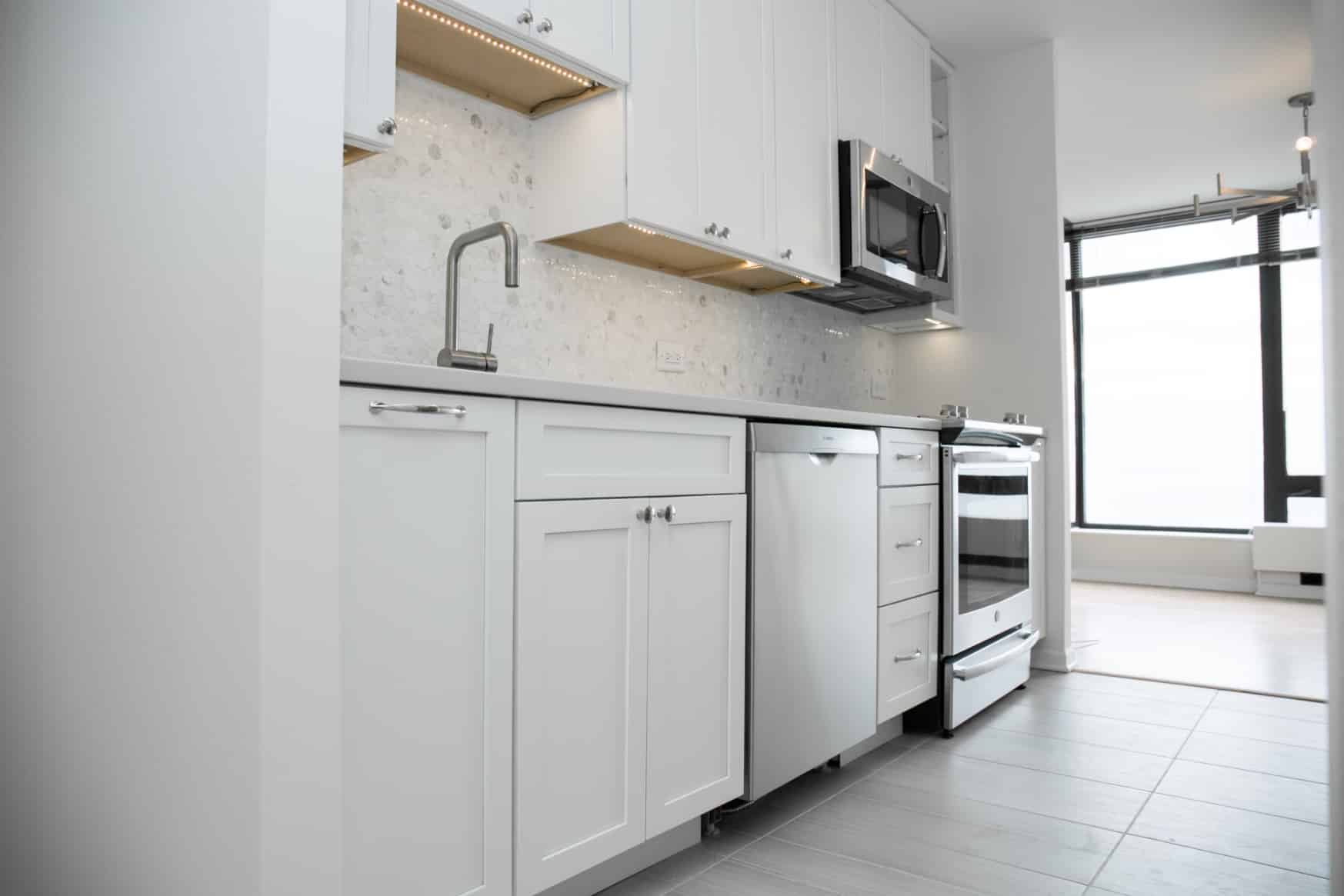 Small Kitchen Design in Chicago Homes and Condos